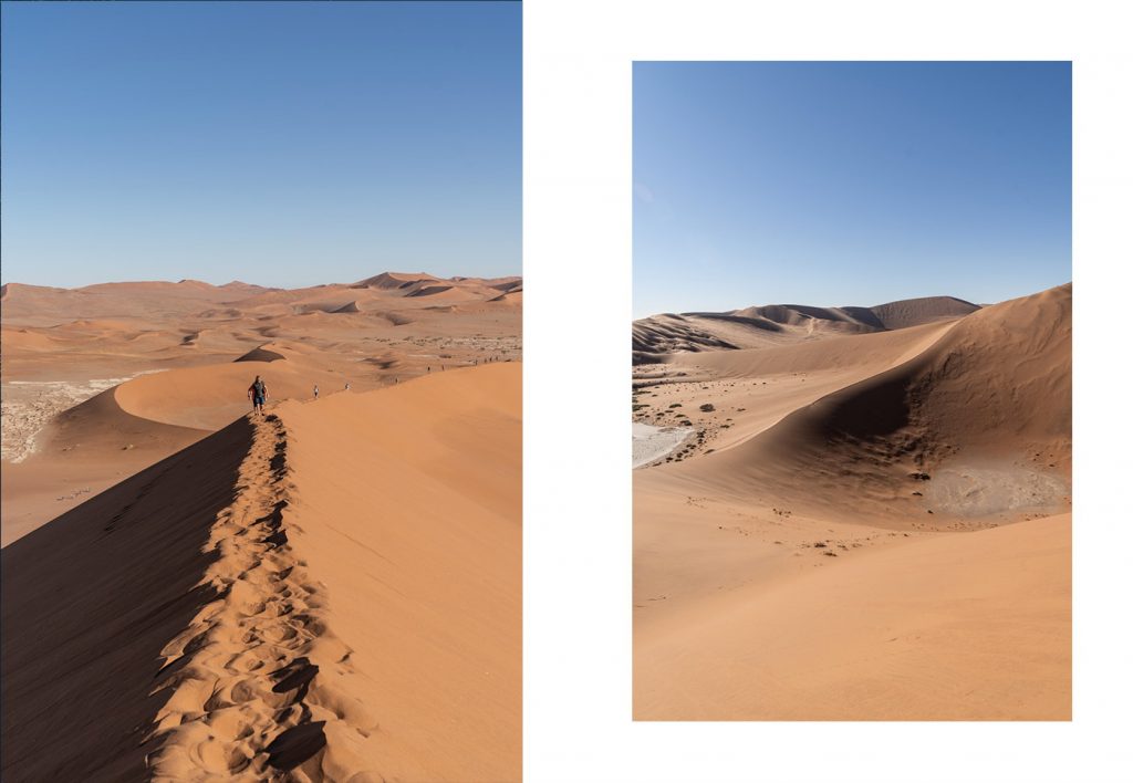 Roadtrip en Namibie, la Dead Vlei située à Sossusvlei dans le désert du Namib