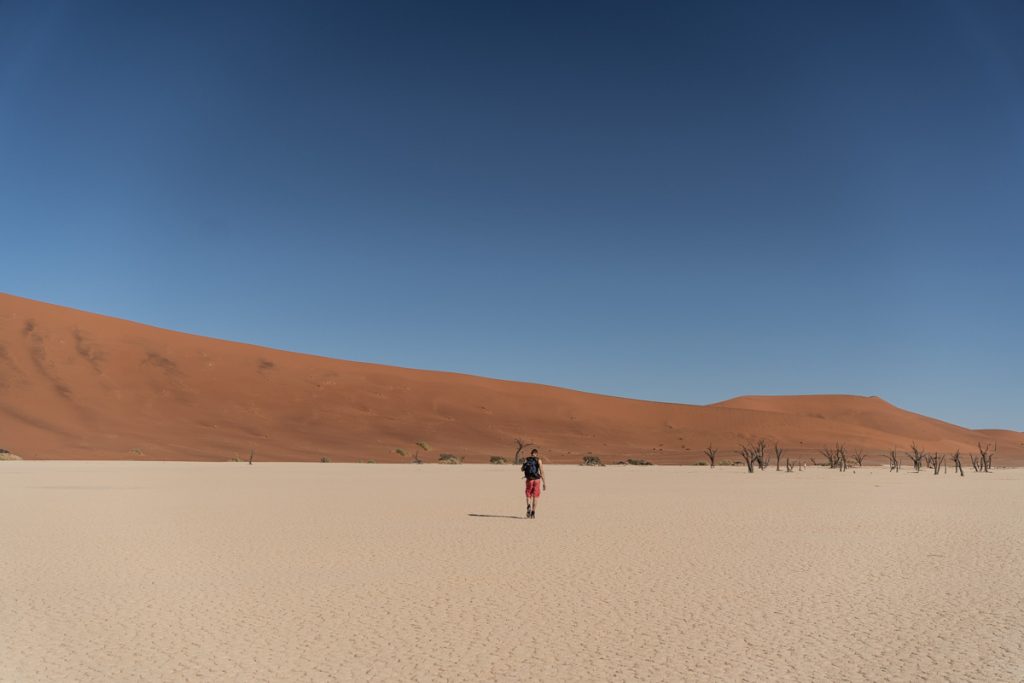Roadtrip en Namibie, la Dead Vlei située à Sossusvlei dans le désert du Namib