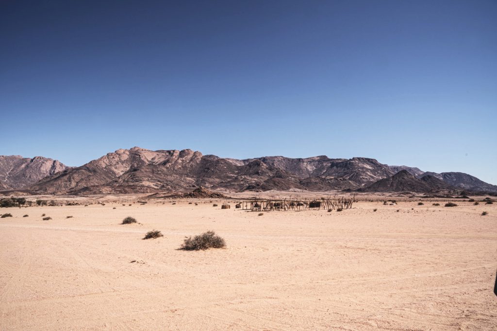 Paysage du Namib, en direction du White Lady Lodge